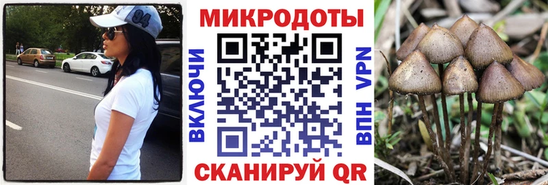 Купить закладки Мончегорск Псилоцибиновые грибы мухоморы